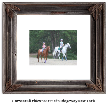 horse trail rides near me in Ridgeway, New York